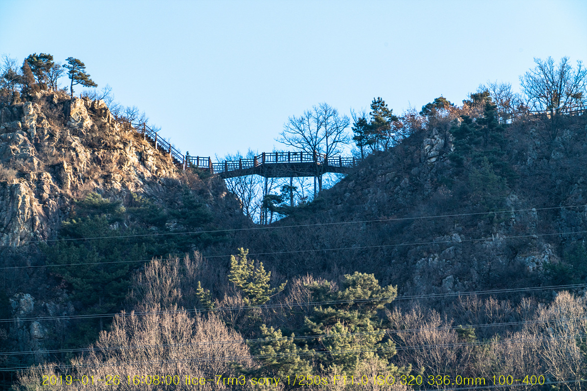 20190126-04