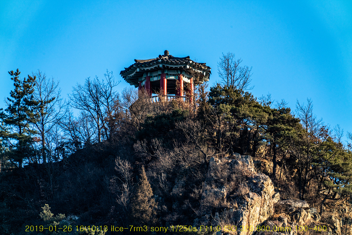 20190126-05