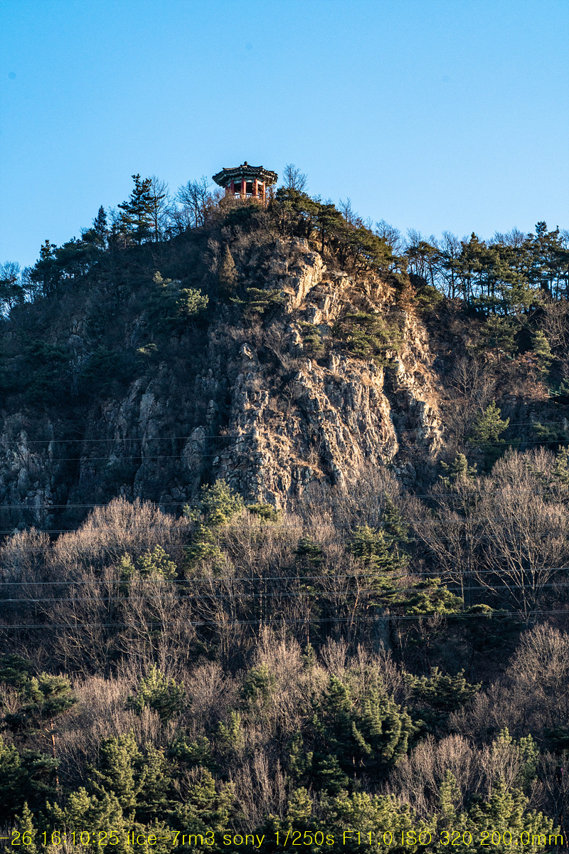 20190126-06
