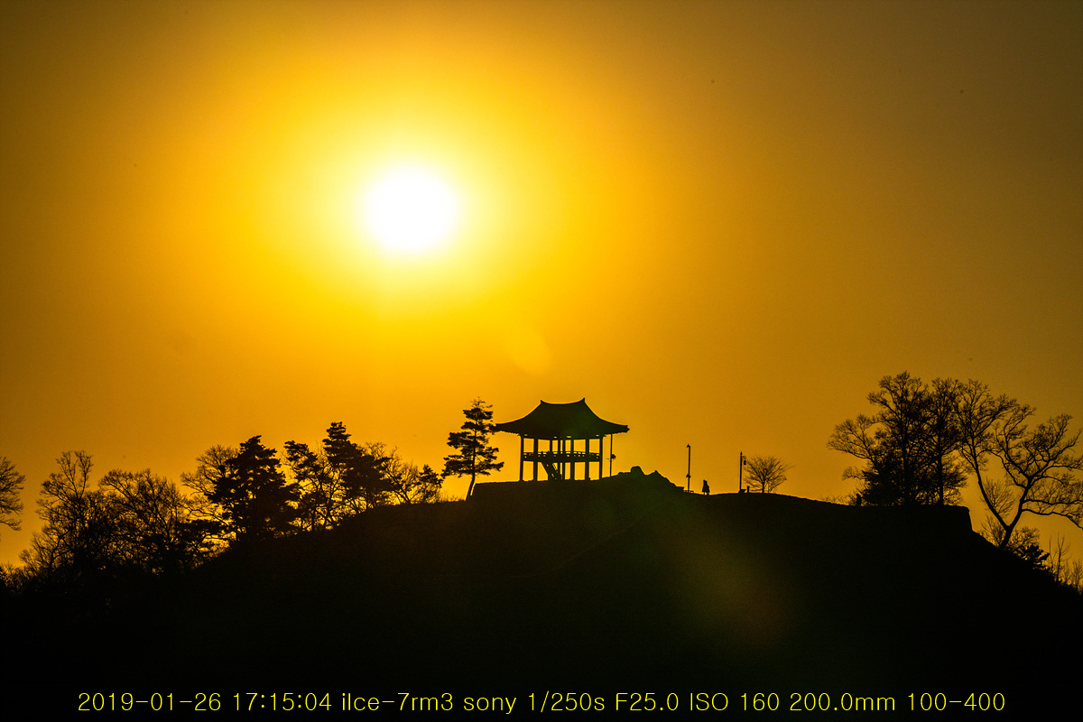 20190126-20