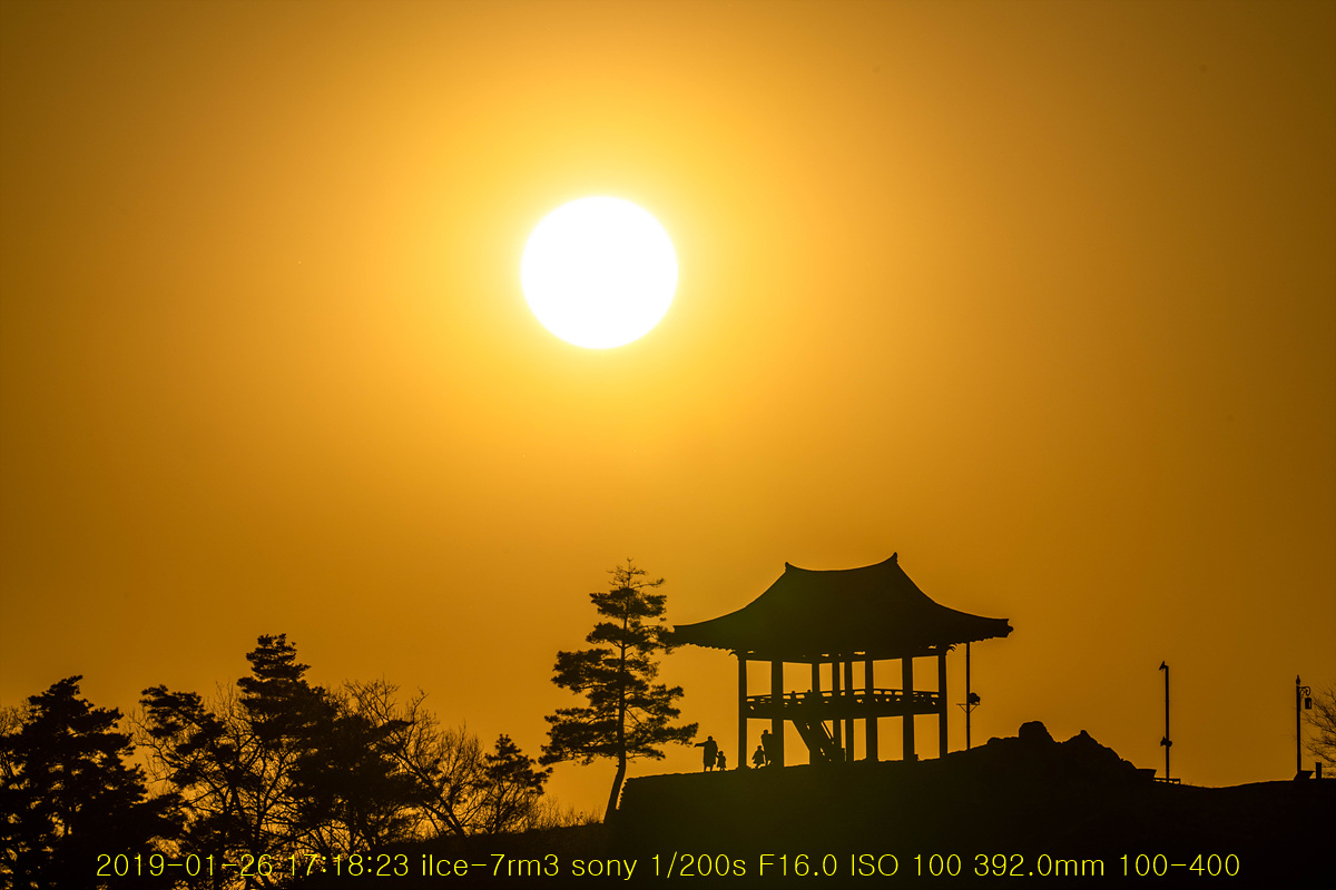 20190126-23