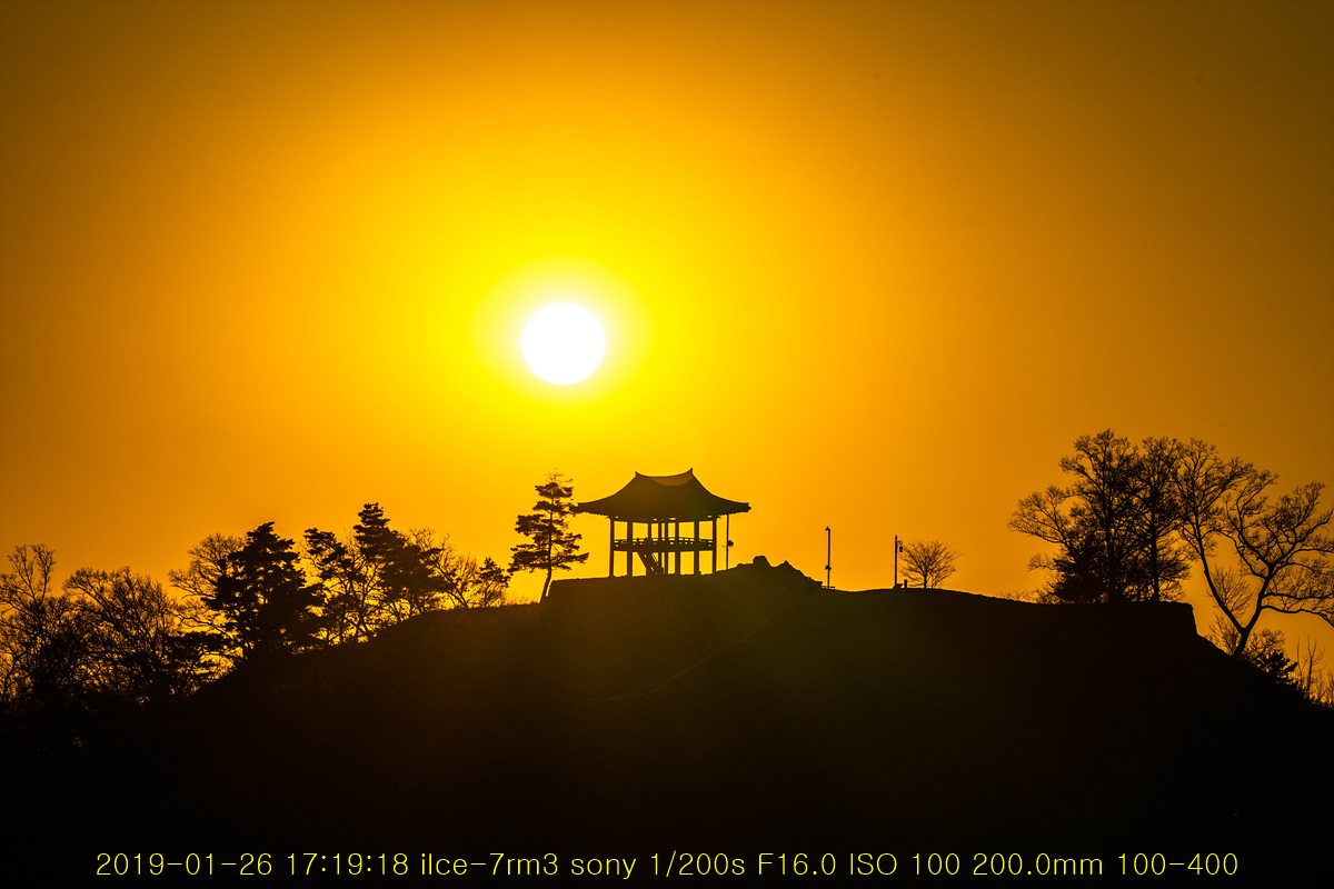 20190126-24