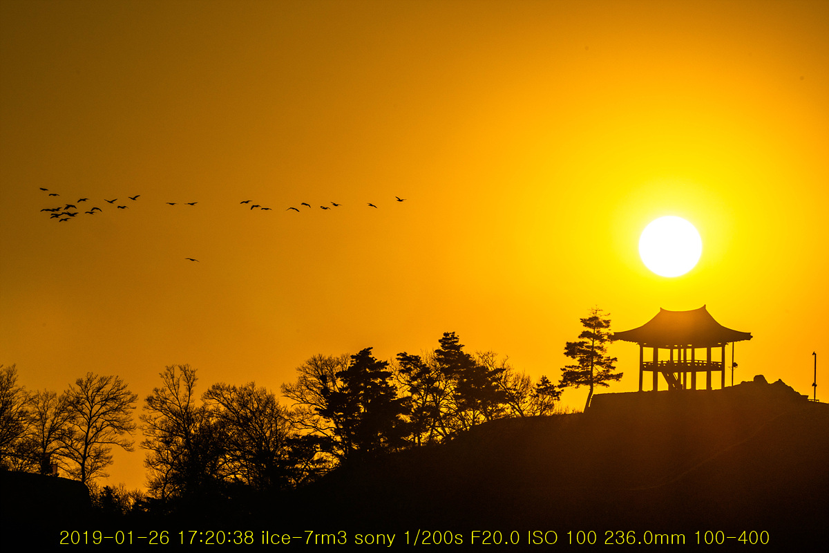 20190126-26