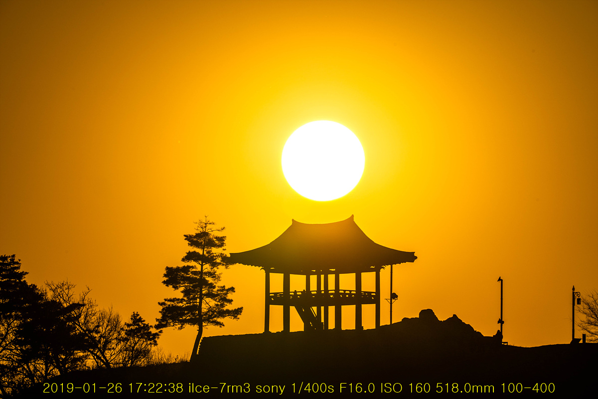 20190126-29