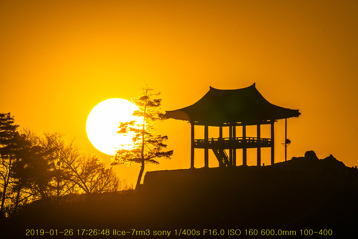 20190126-32