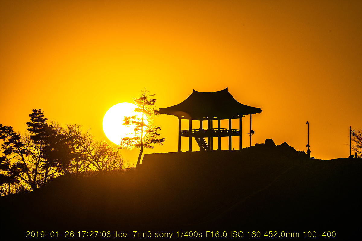 20190126-33