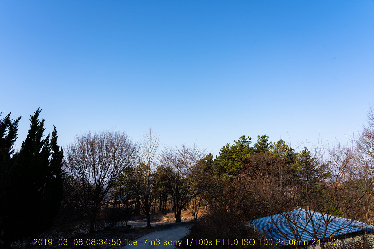31-20190308-01