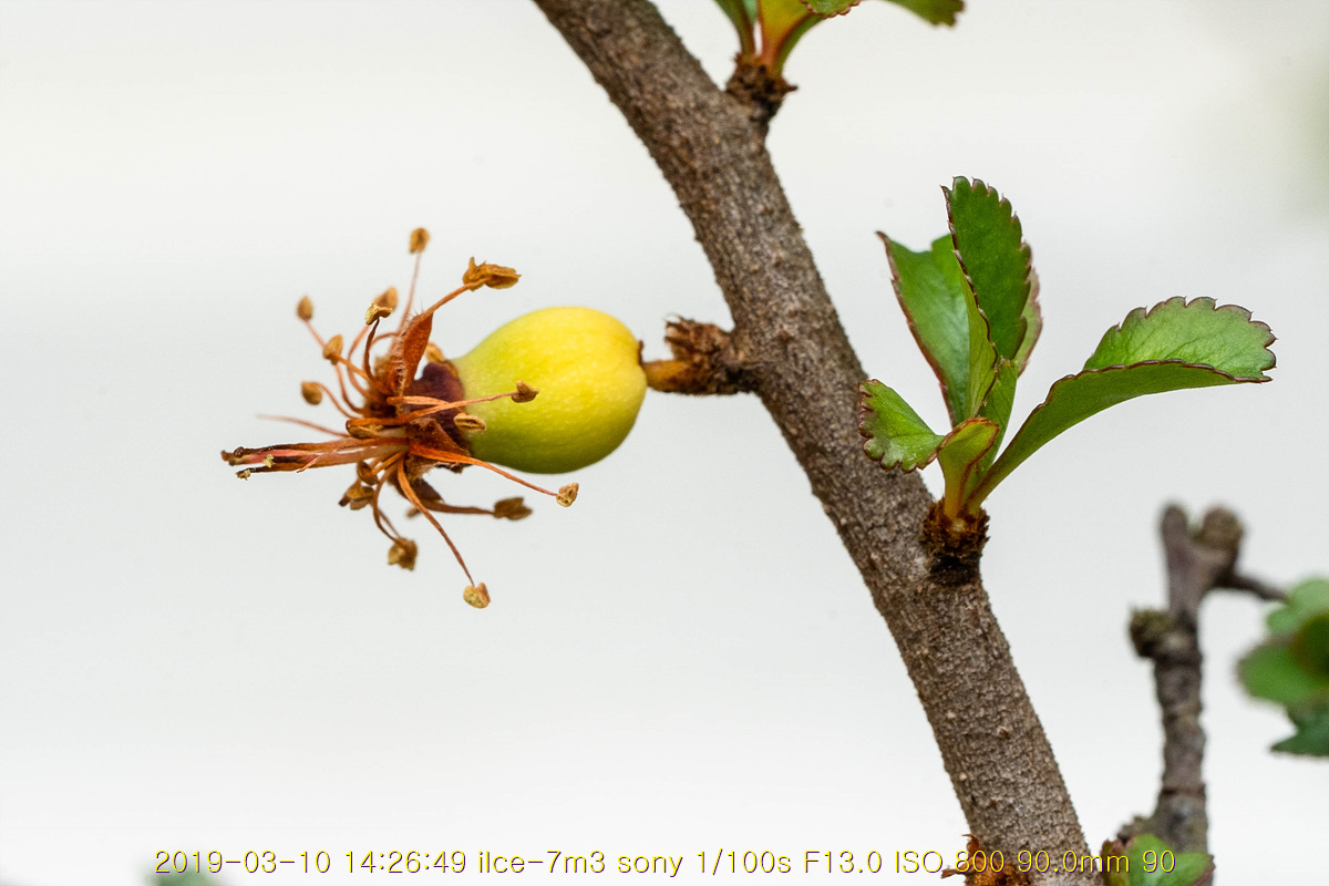 31-20190311-101