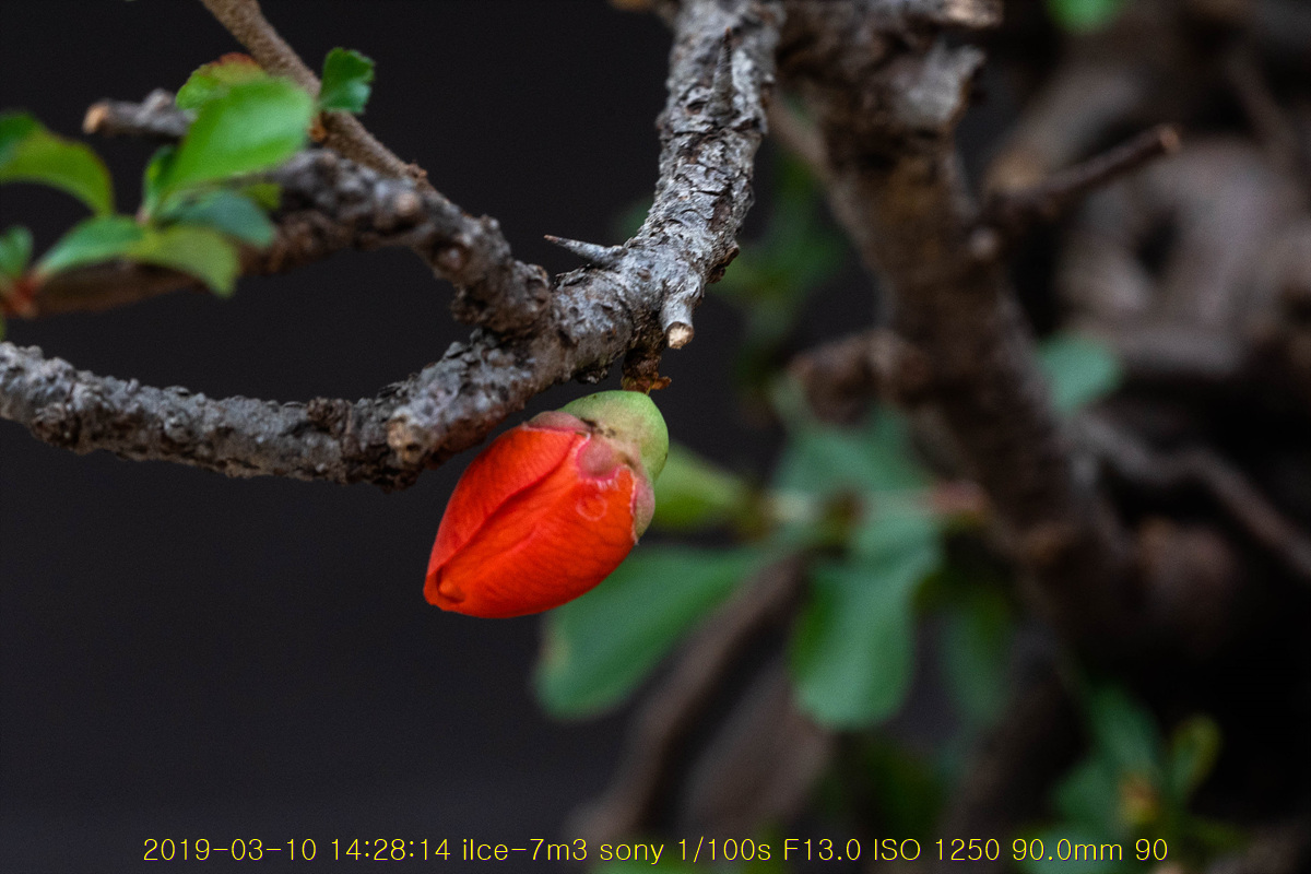 31-20190311-105