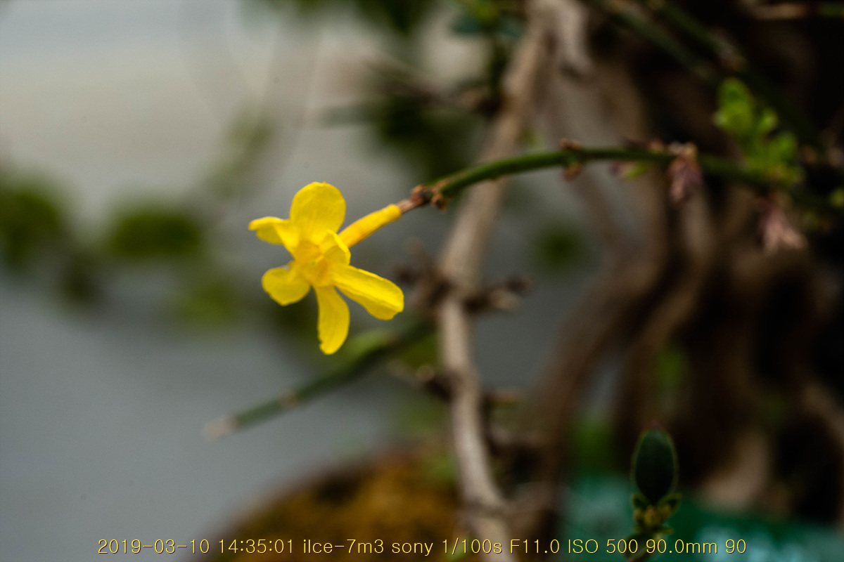 31-20190311-19