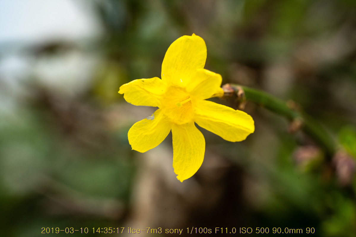 31-20190311-21