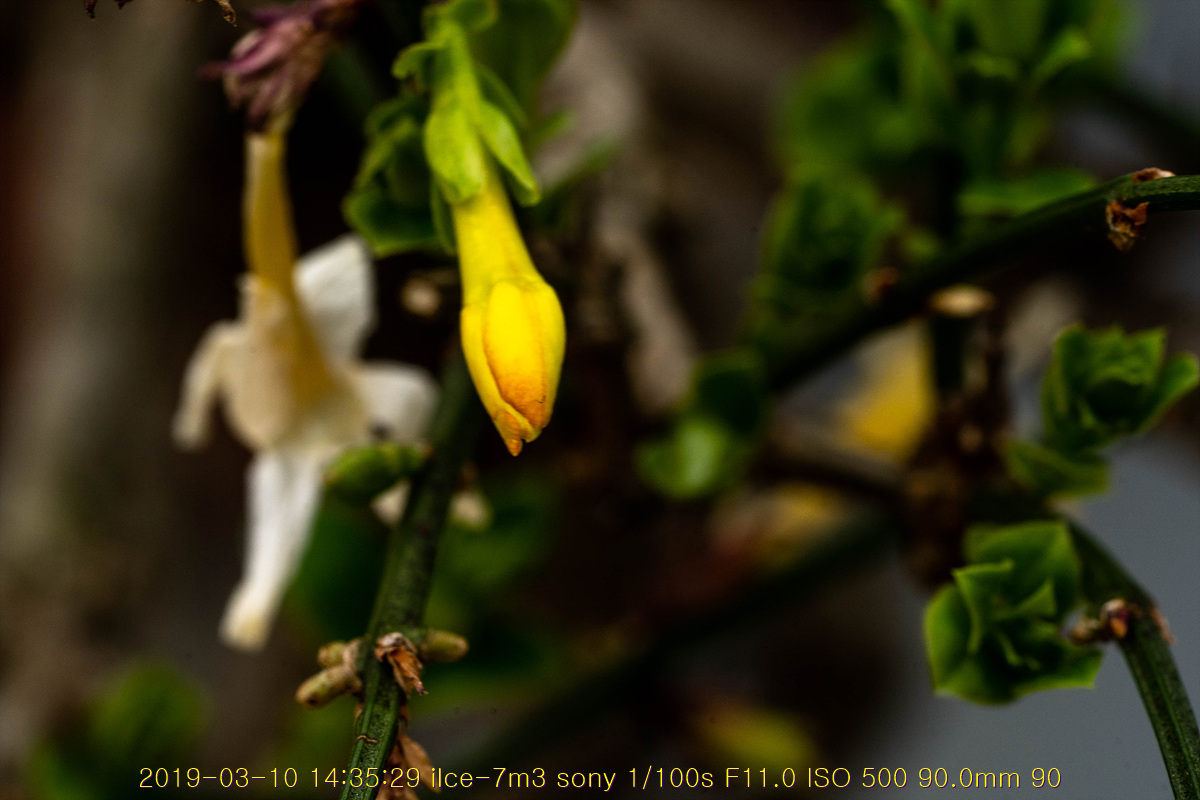 31-20190311-22