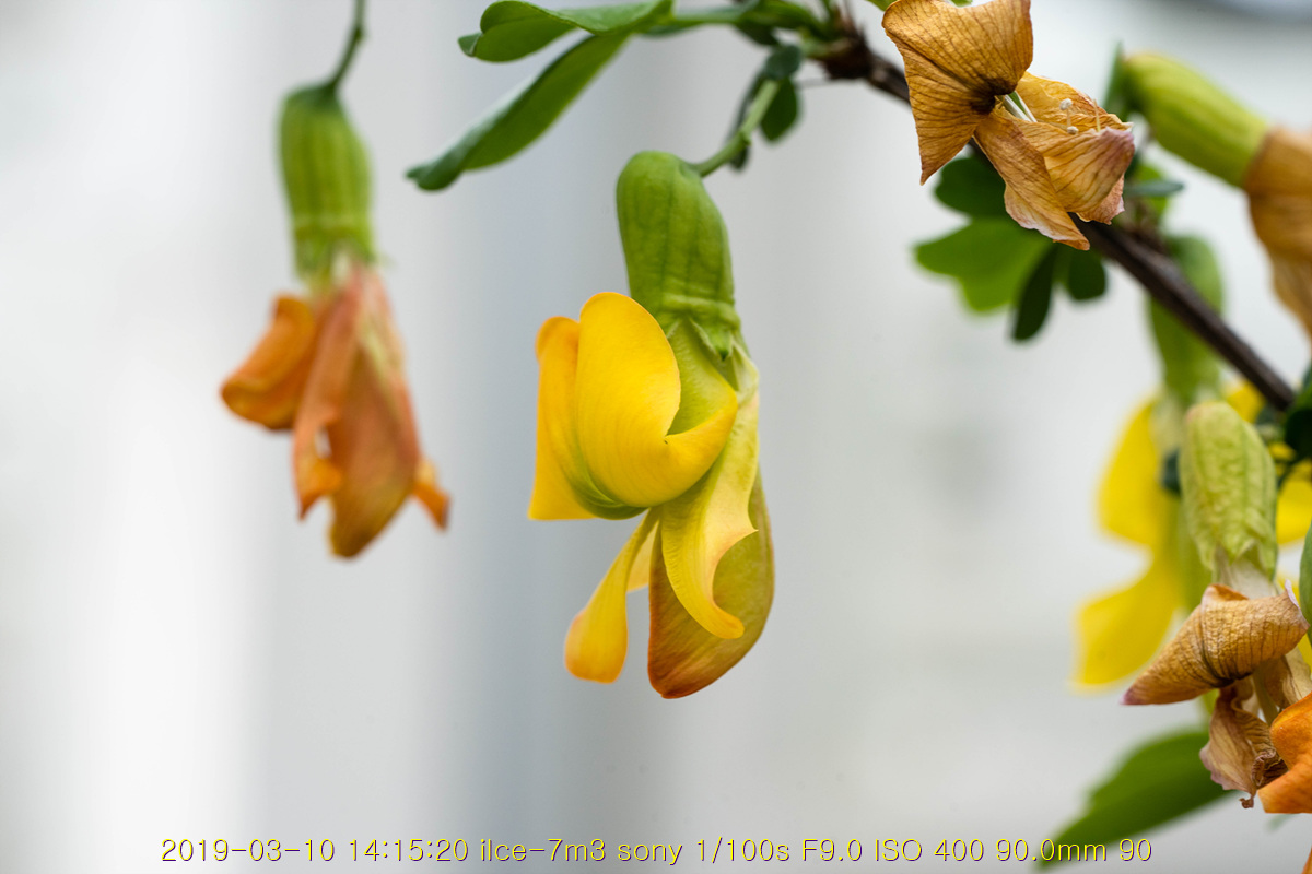 31-20190311-54