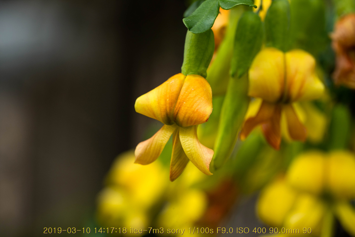 31-20190311-61