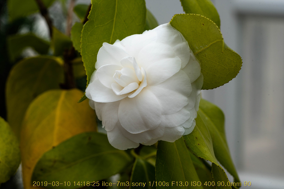 31-20190311-64