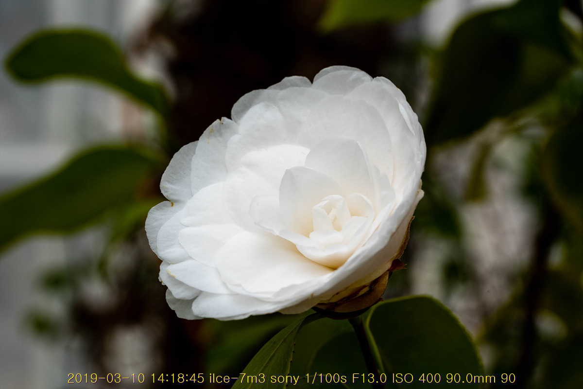 31-20190311-65