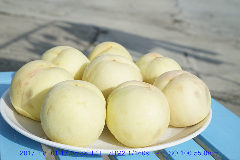 _BDS6245