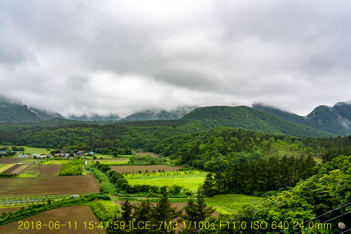 DSC01807