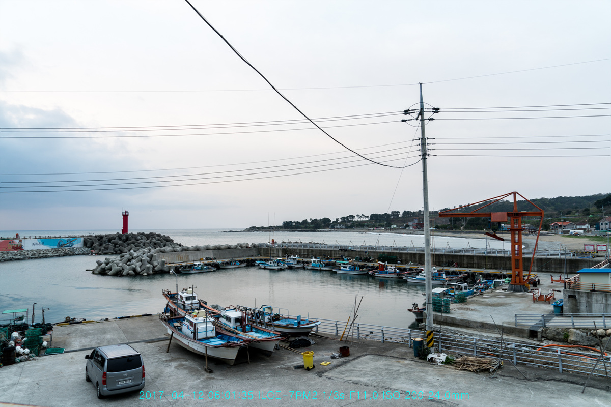_DSC1962