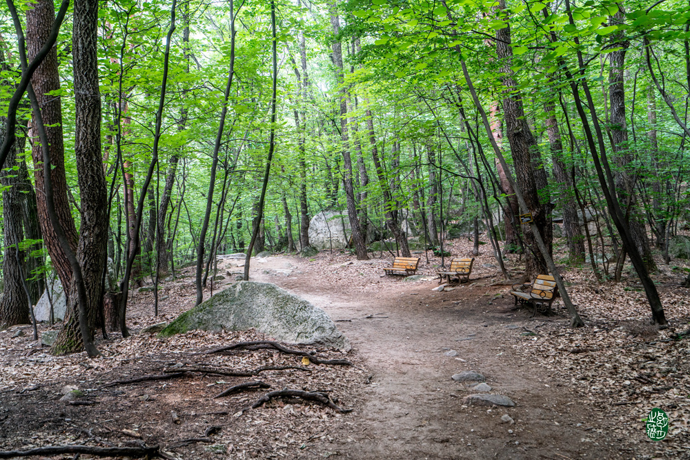 _DSC3293
