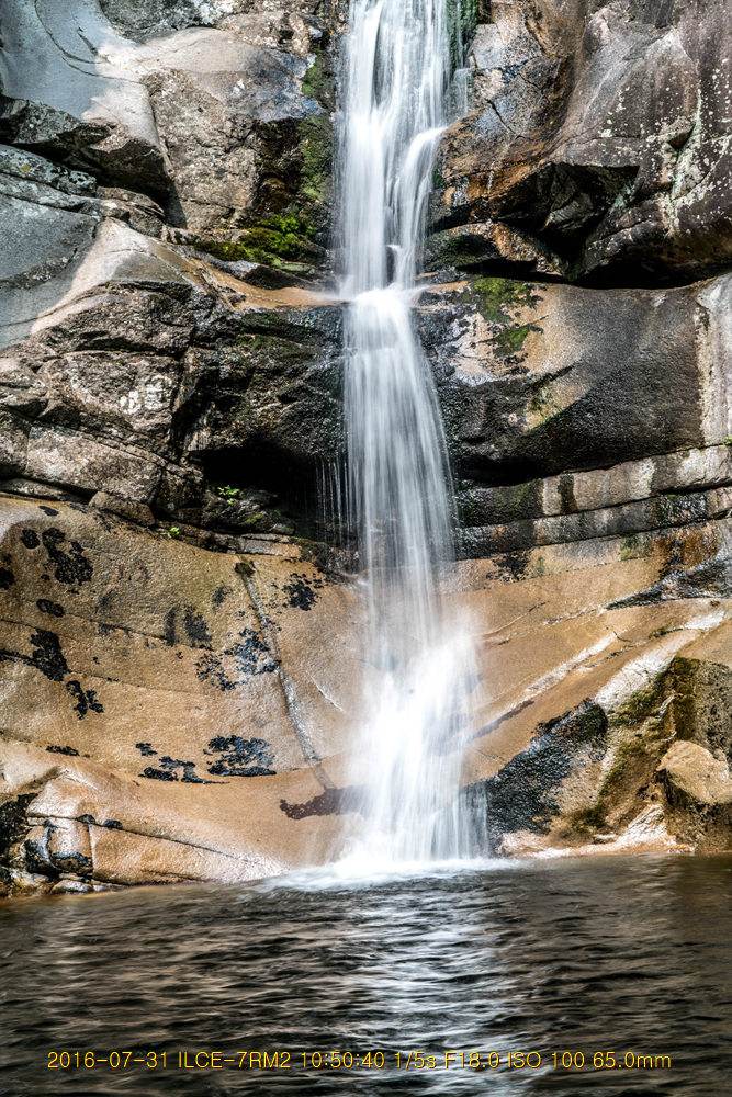 _DSC3363