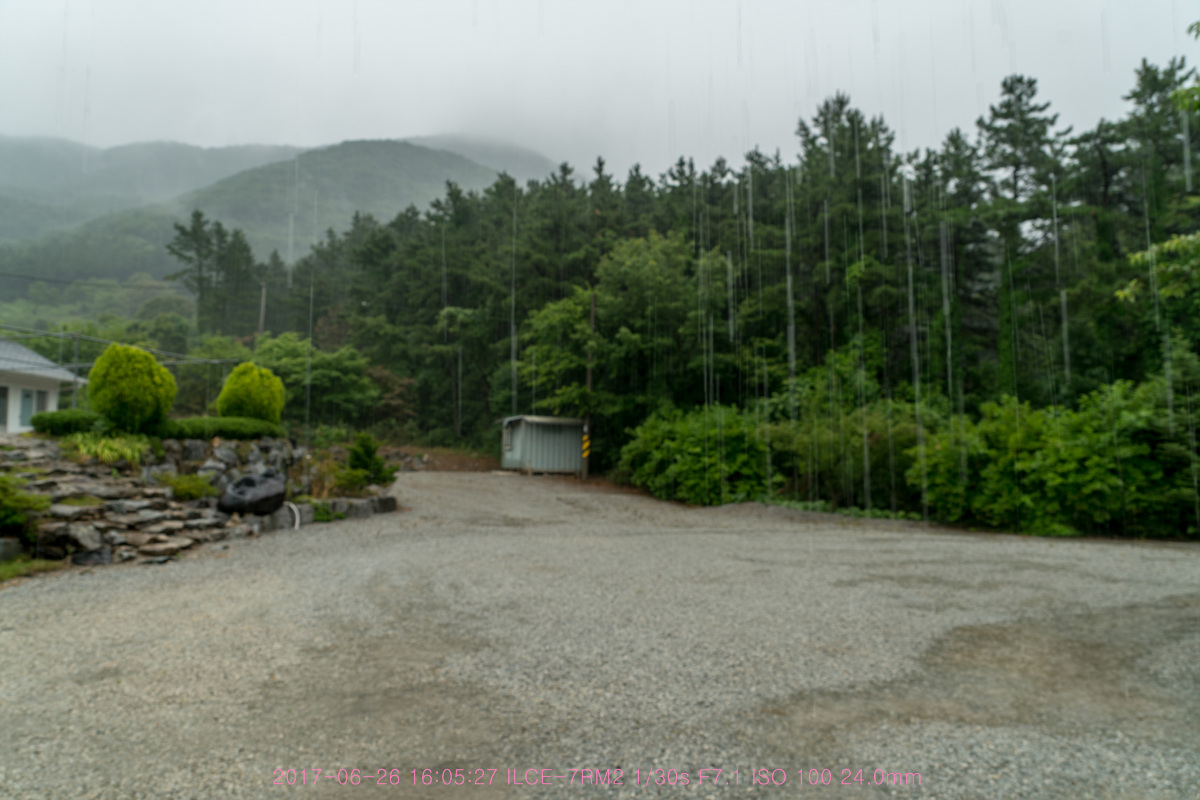 _DSC4453