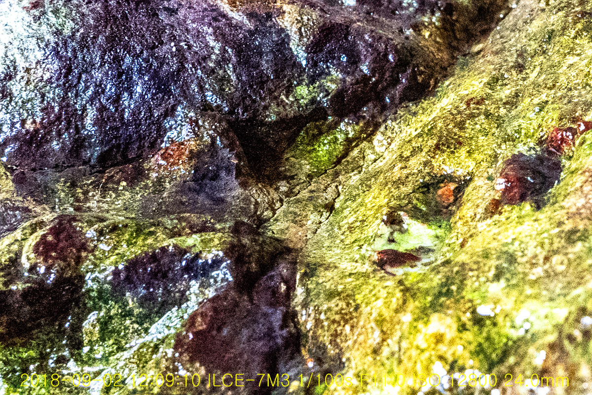 N1_02541-2