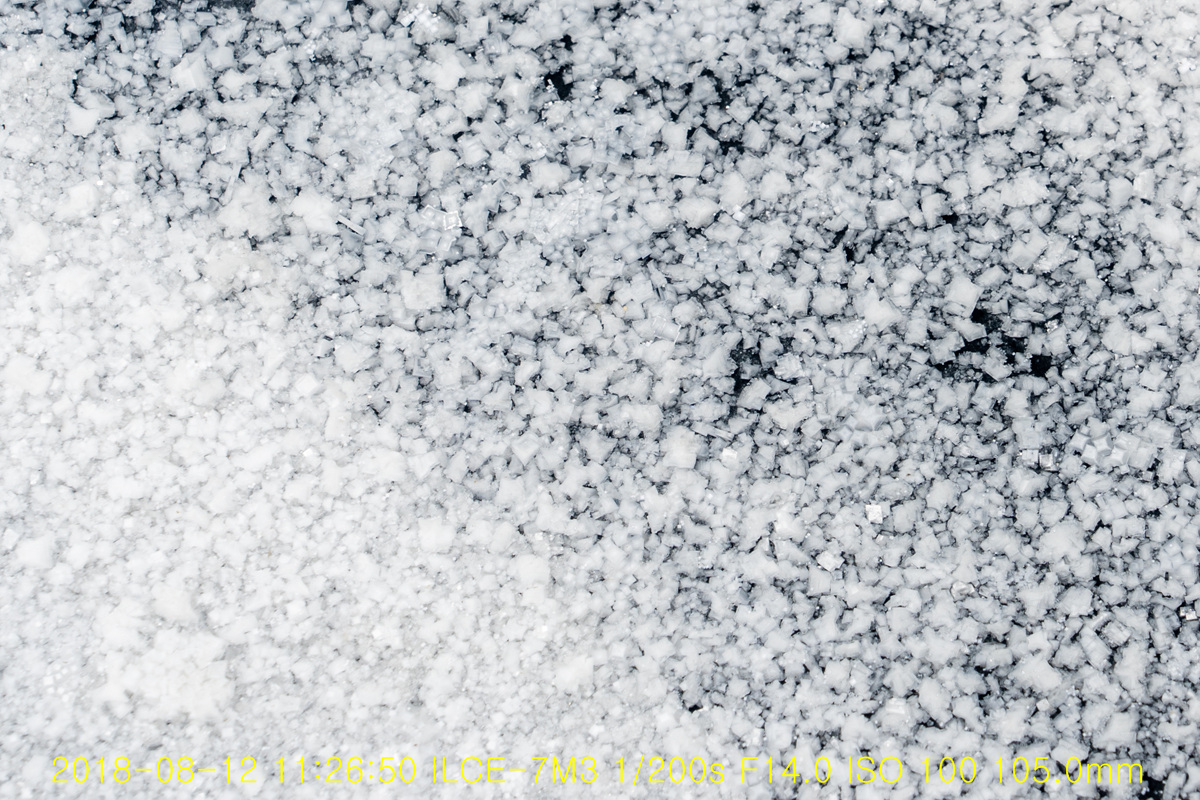 N1_09422