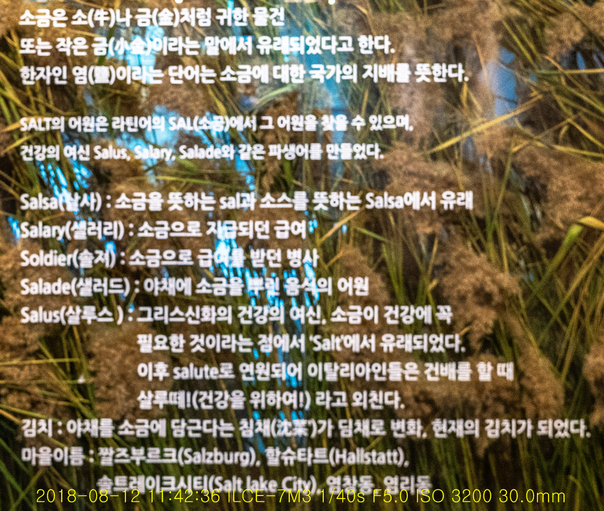 N1_09542-2