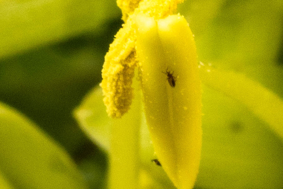 R4_00042-3