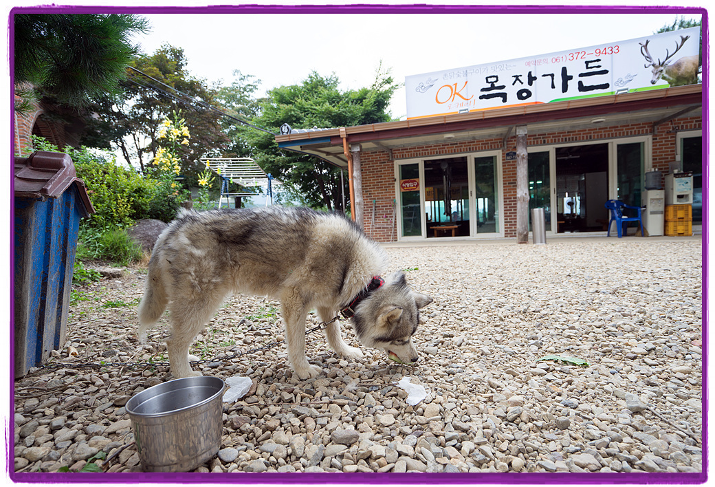 h06
