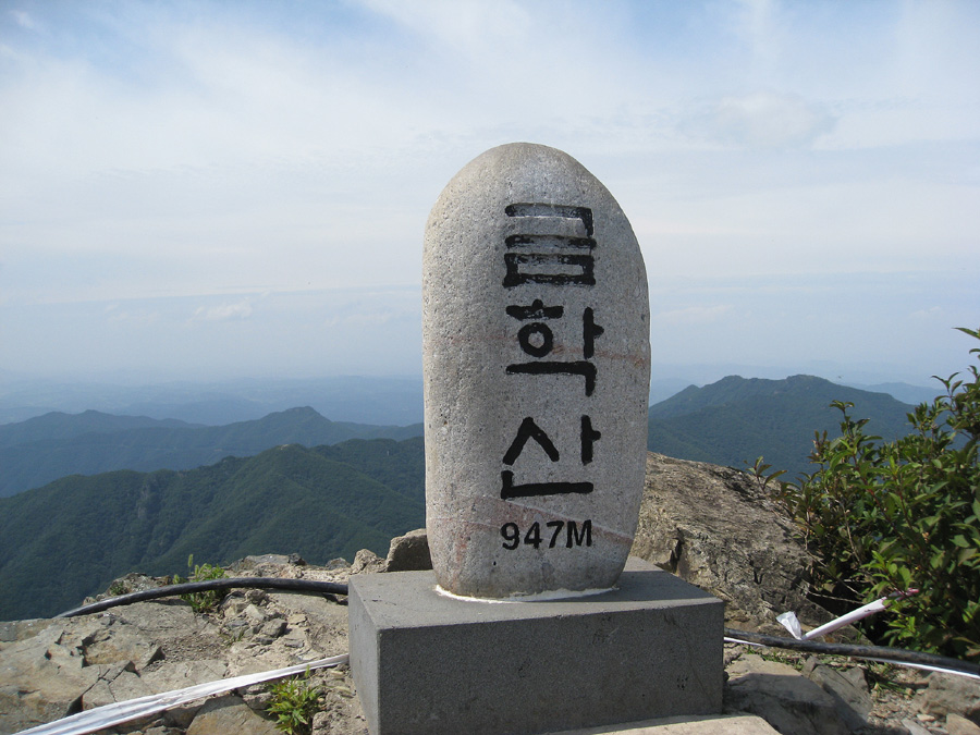 금학산정상비