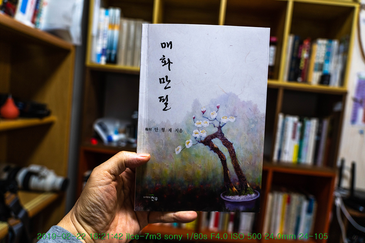 mae-20190222-164