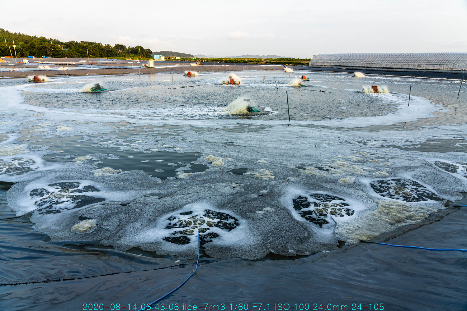 mok20200816-073