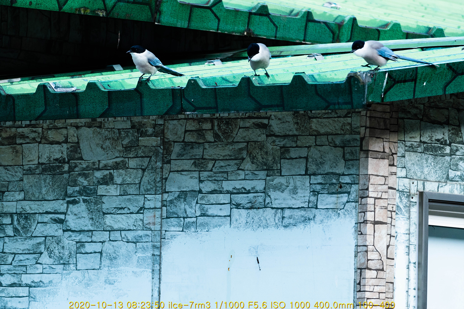 mul20201014-016