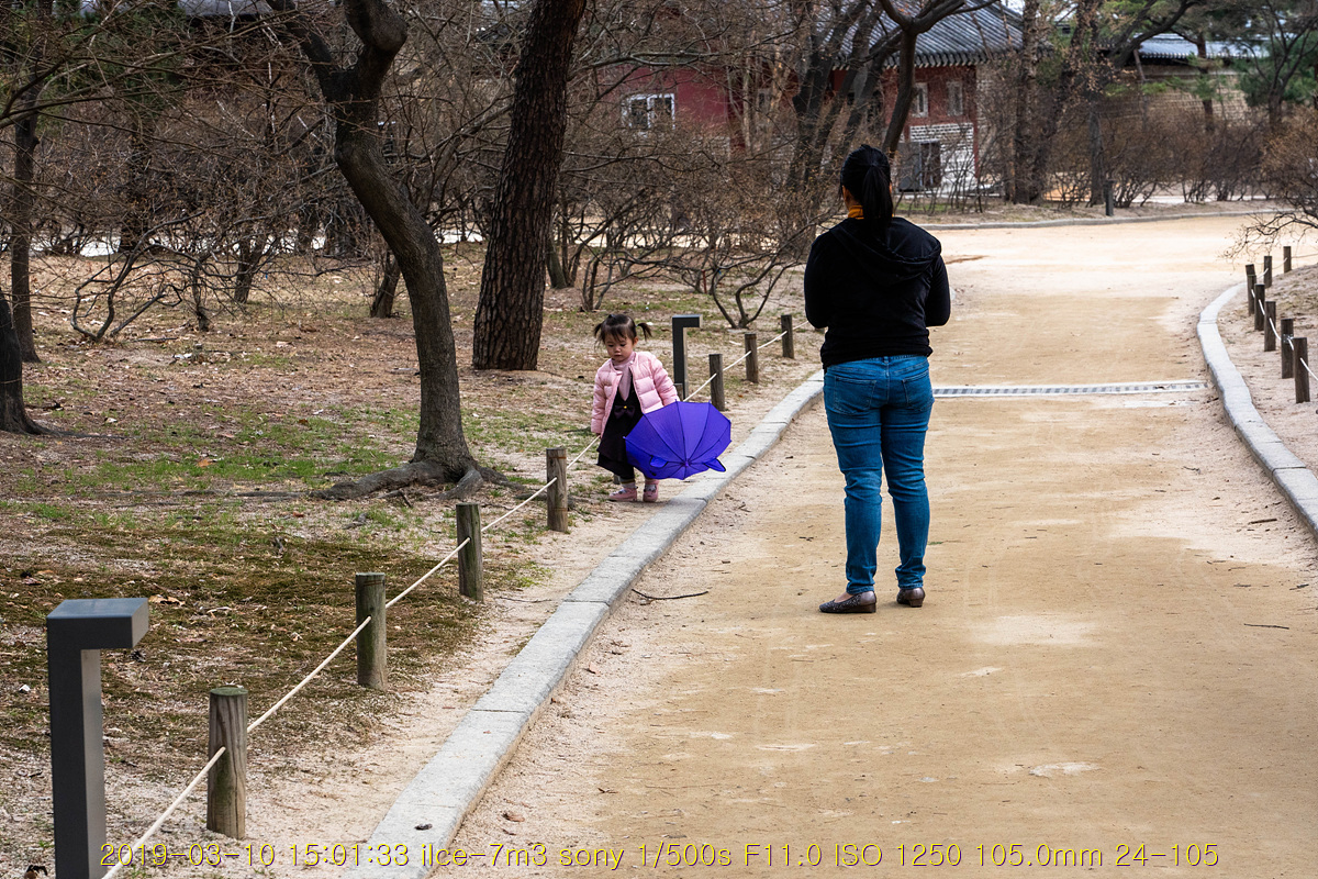 sae-20190311-28