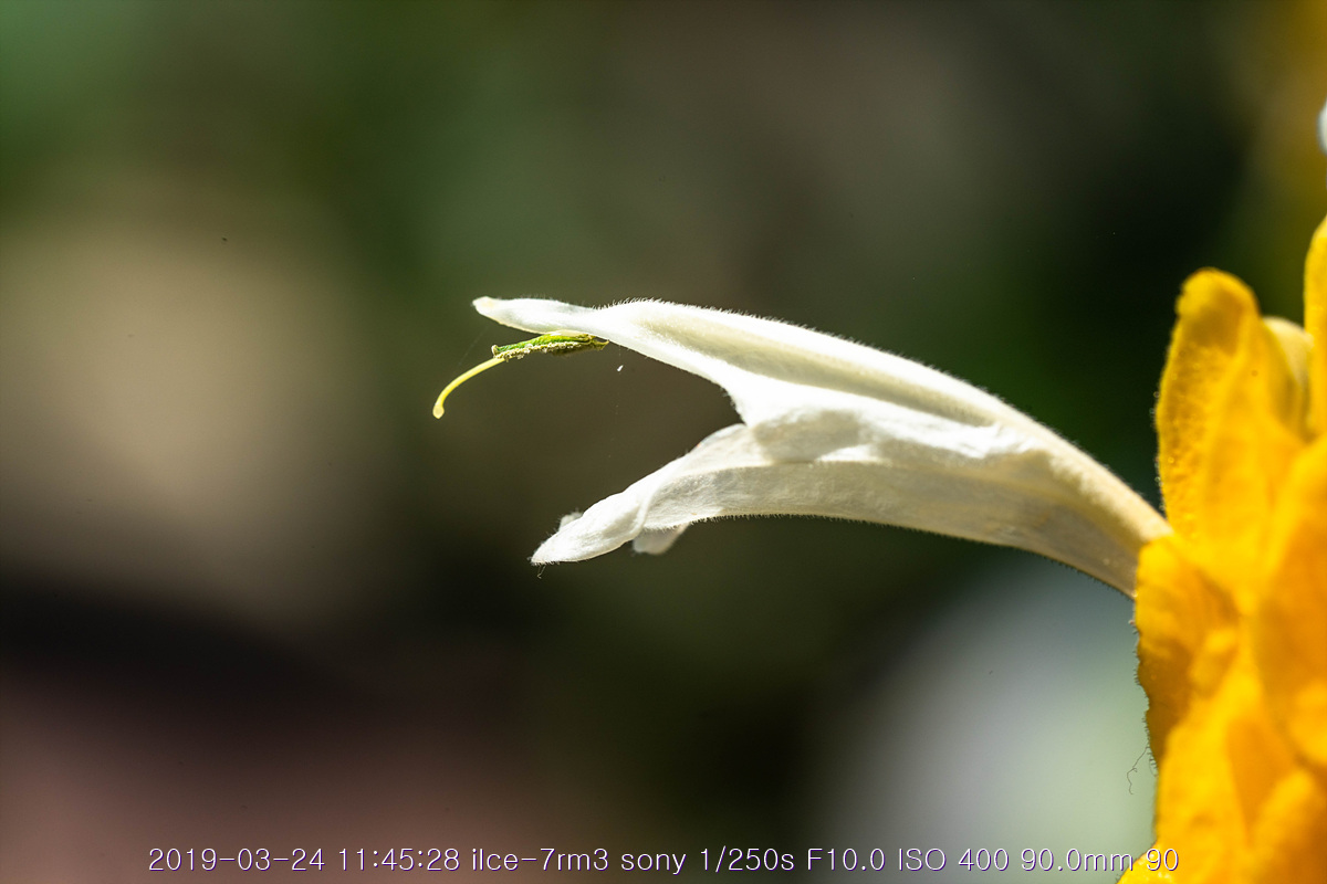 see-20190327-119