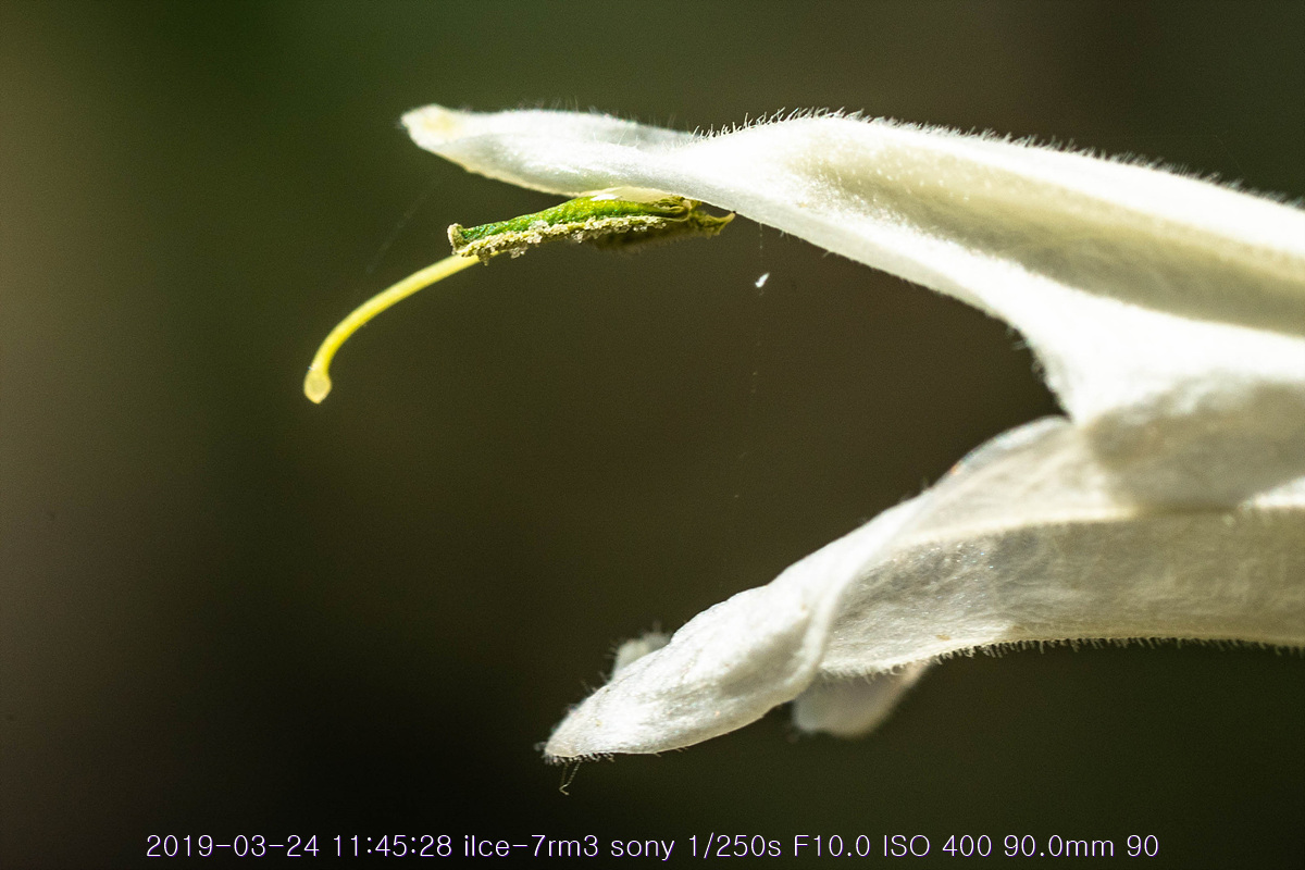 see-20190327-120