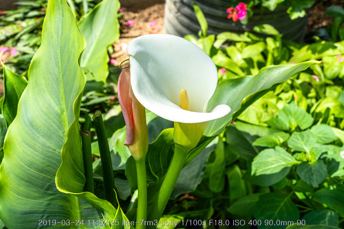 see-20190327-133