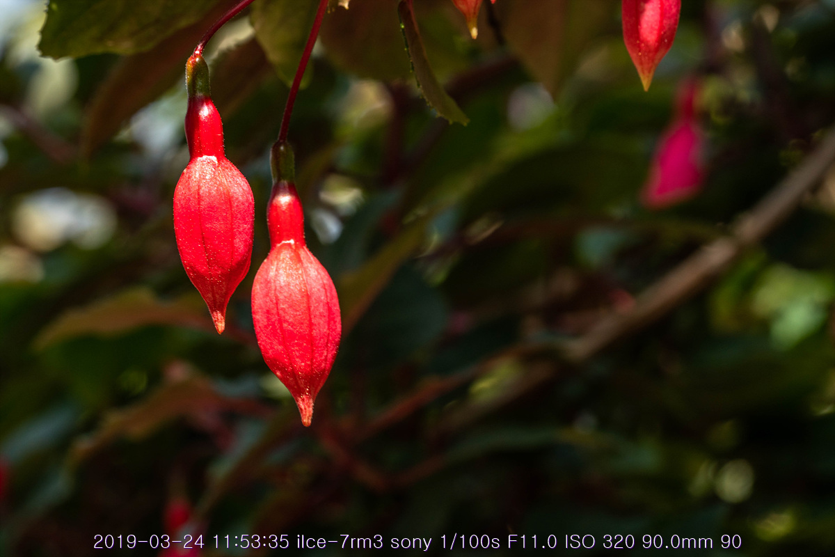 see-20190327-137