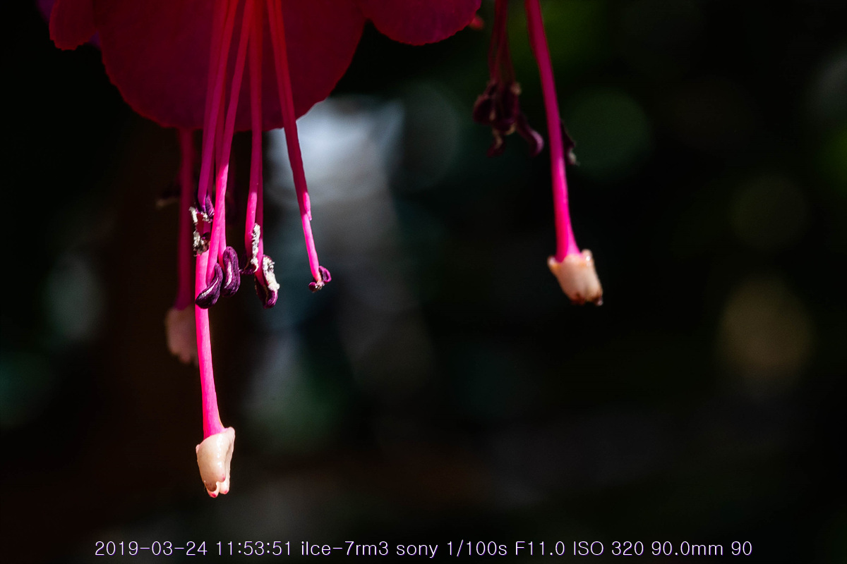 see-20190327-141