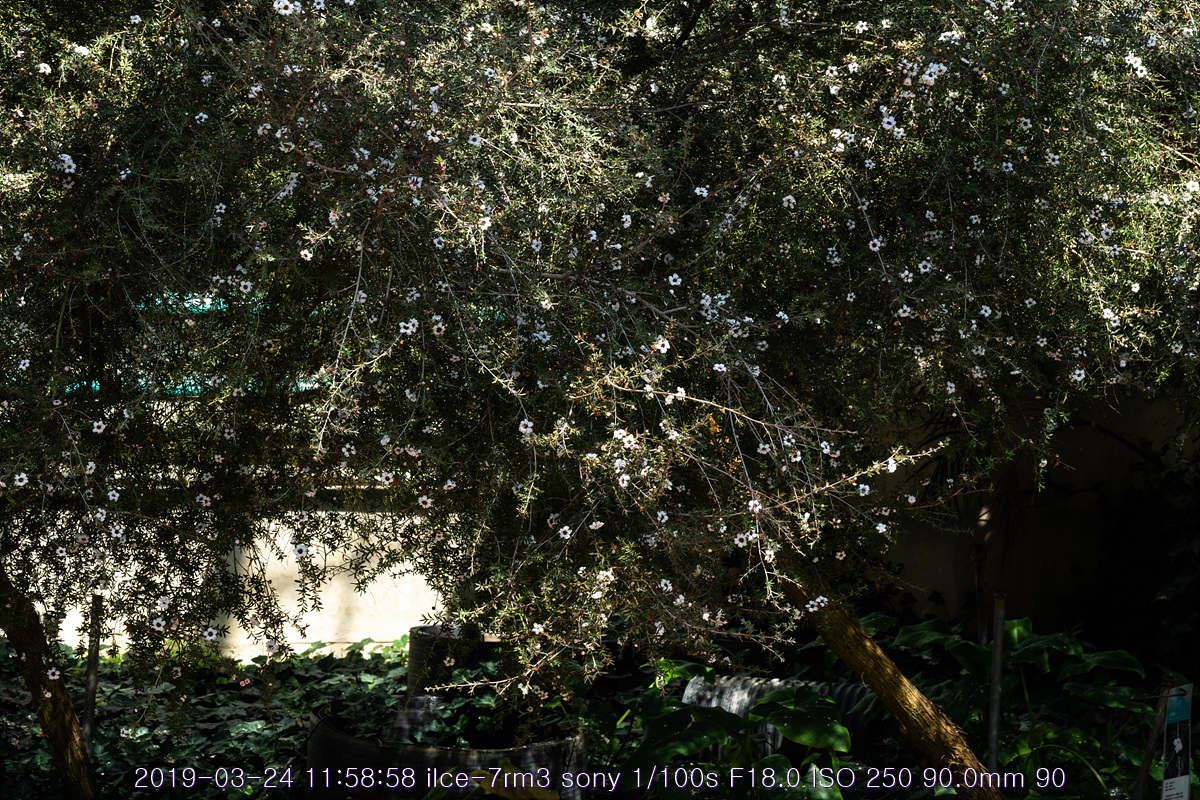 see-20190327-150
