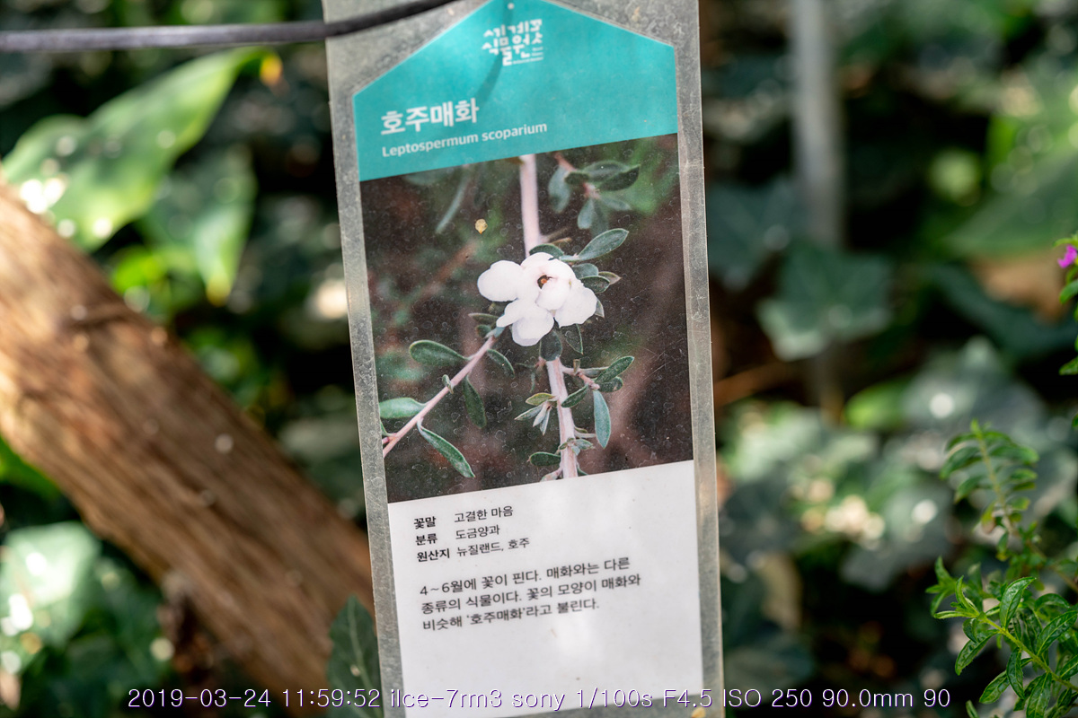 see-20190327-151