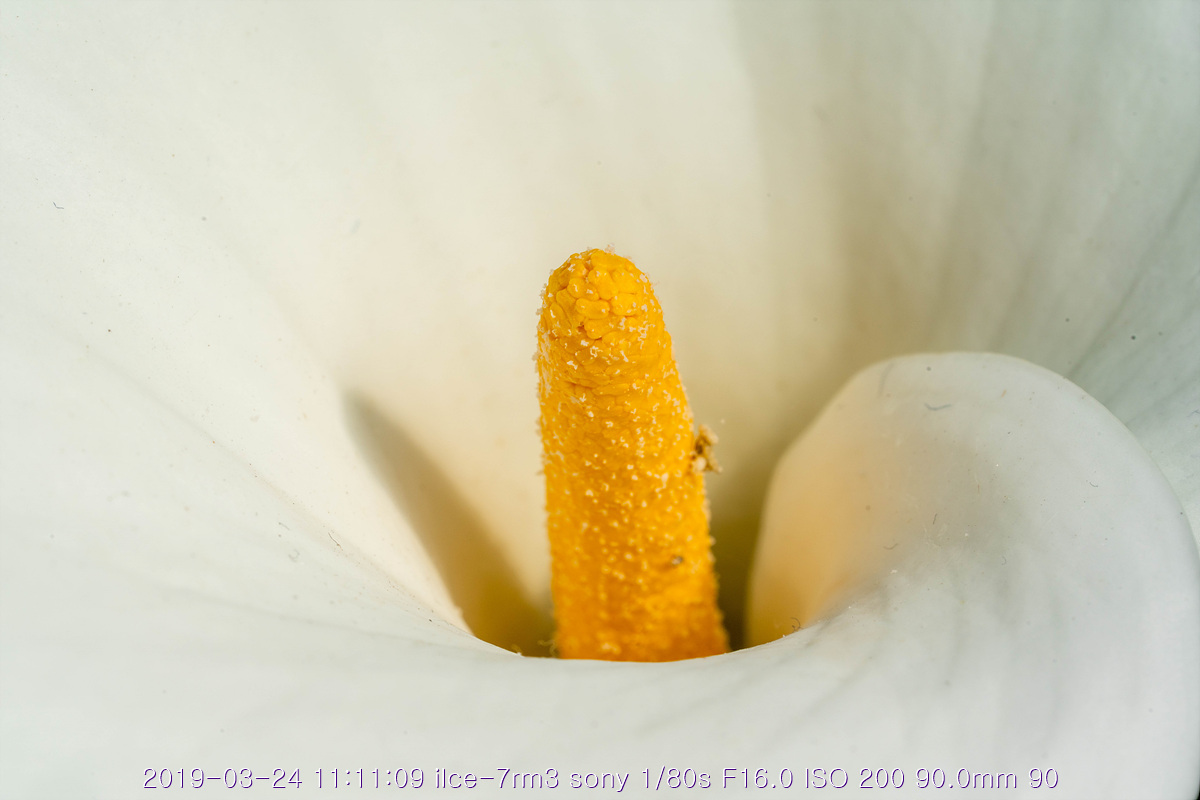 see-20190327-16