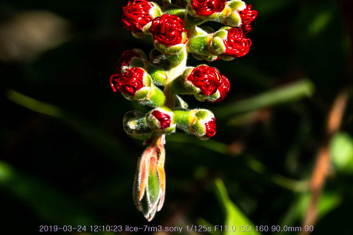 see-20190327-183