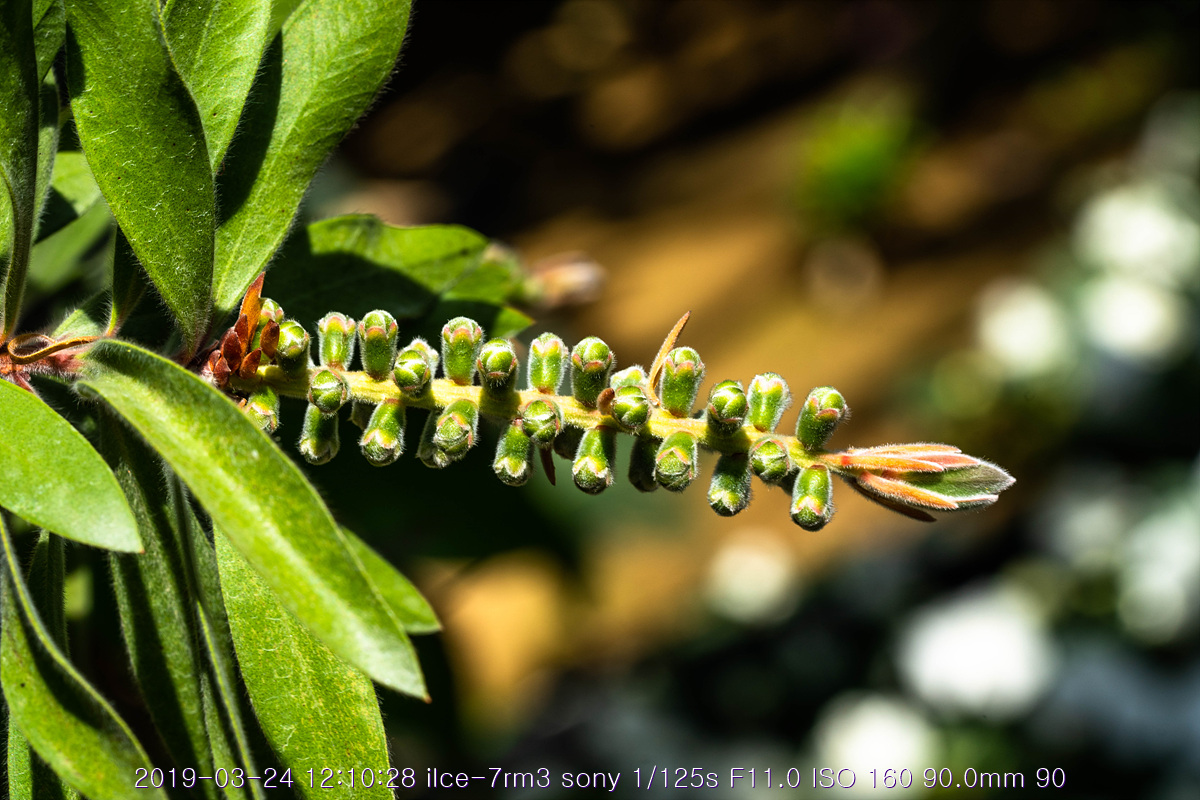 see-20190327-184
