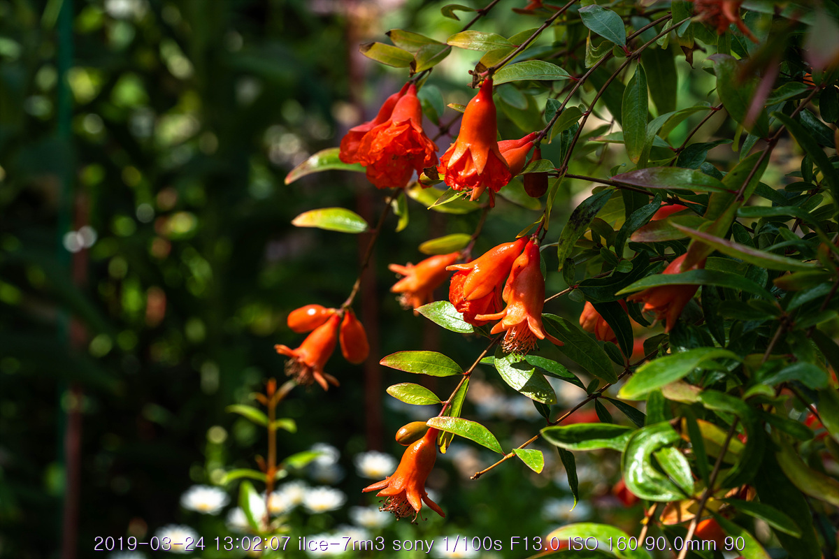 see-20190327-245