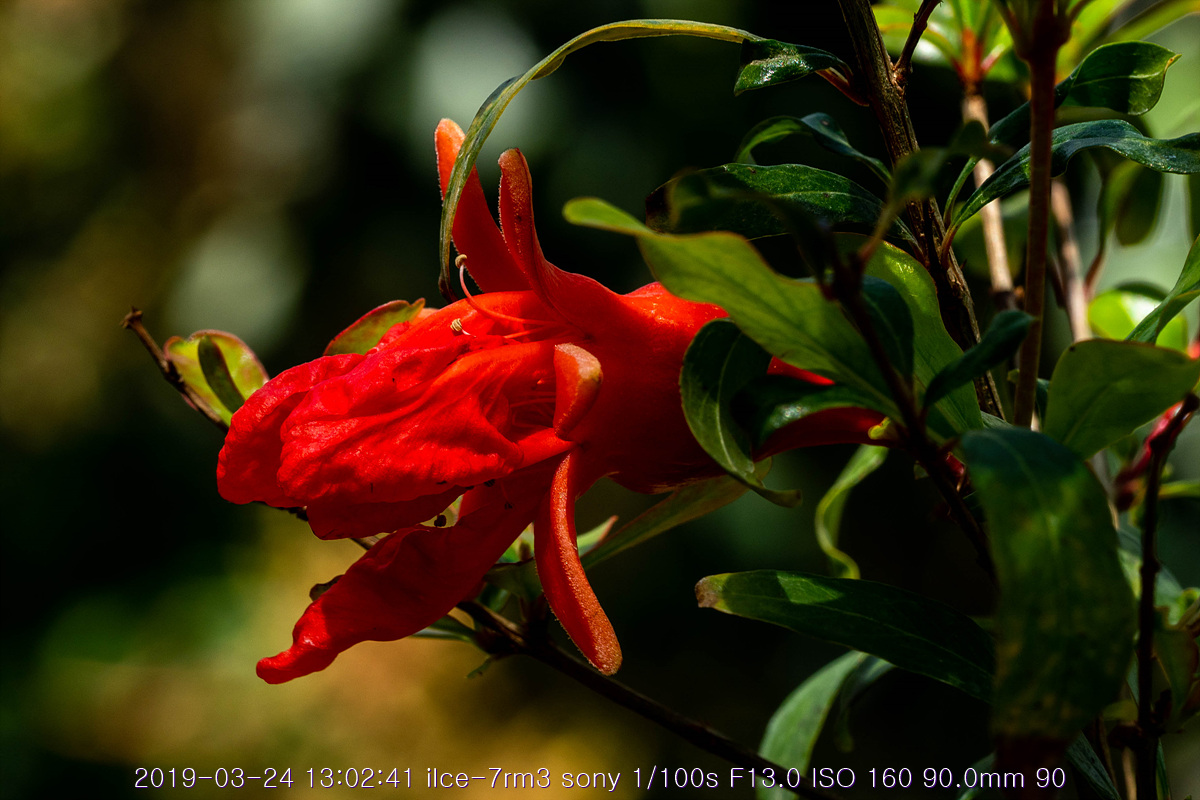see-20190327-248
