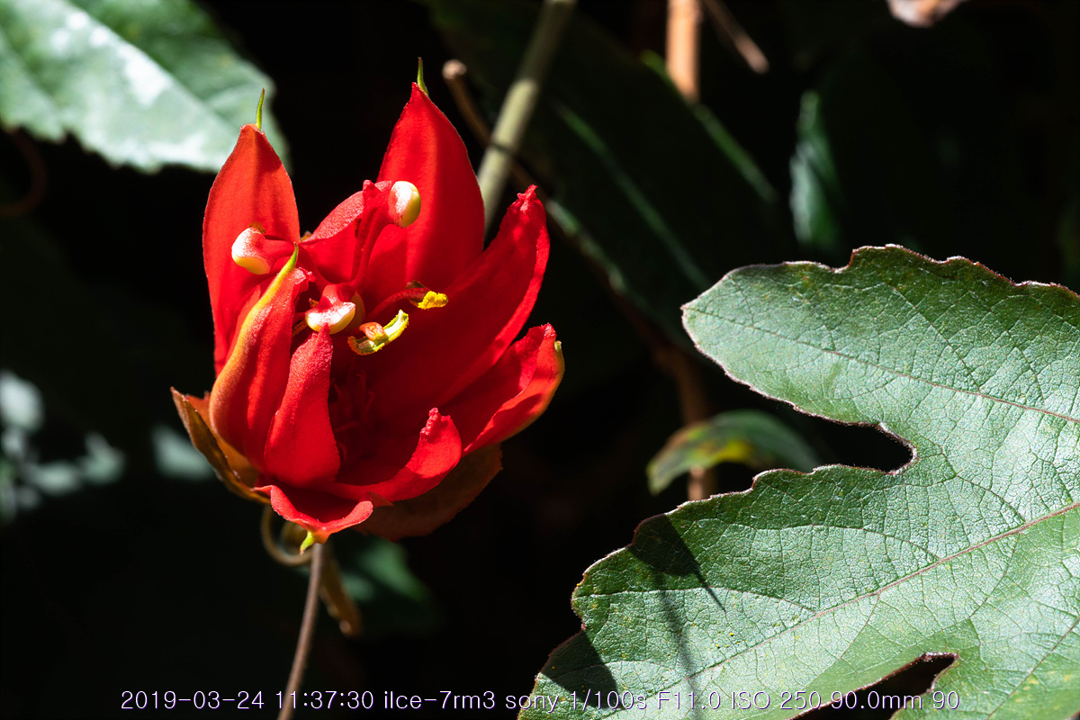 see-20190327-91