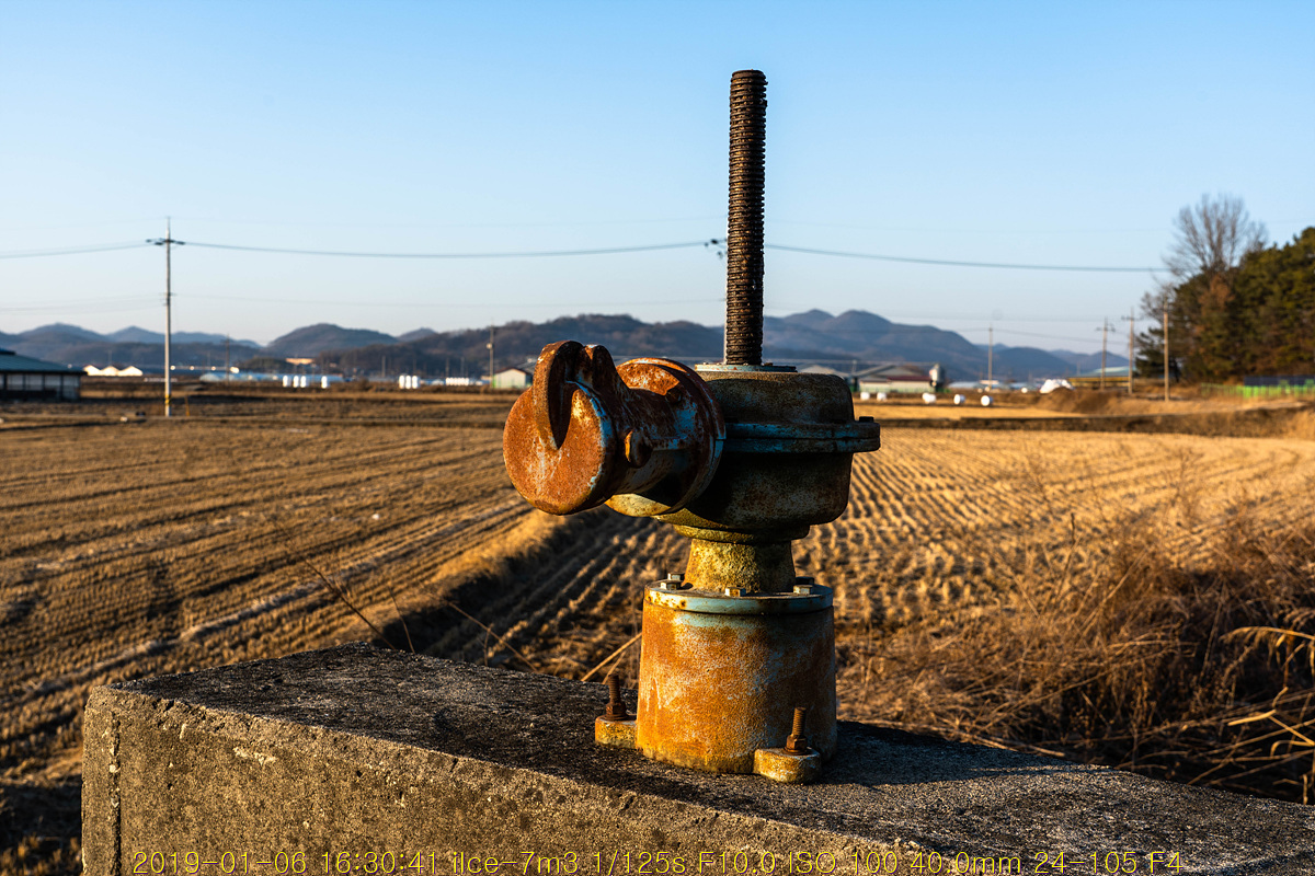 semo20190106-07